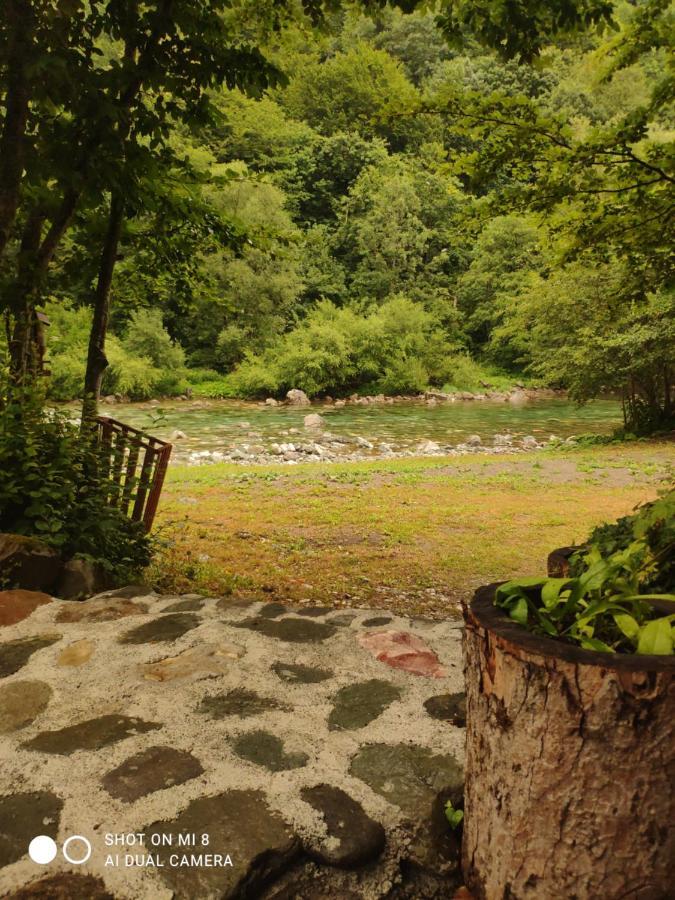 Private Kalezic Campsite *