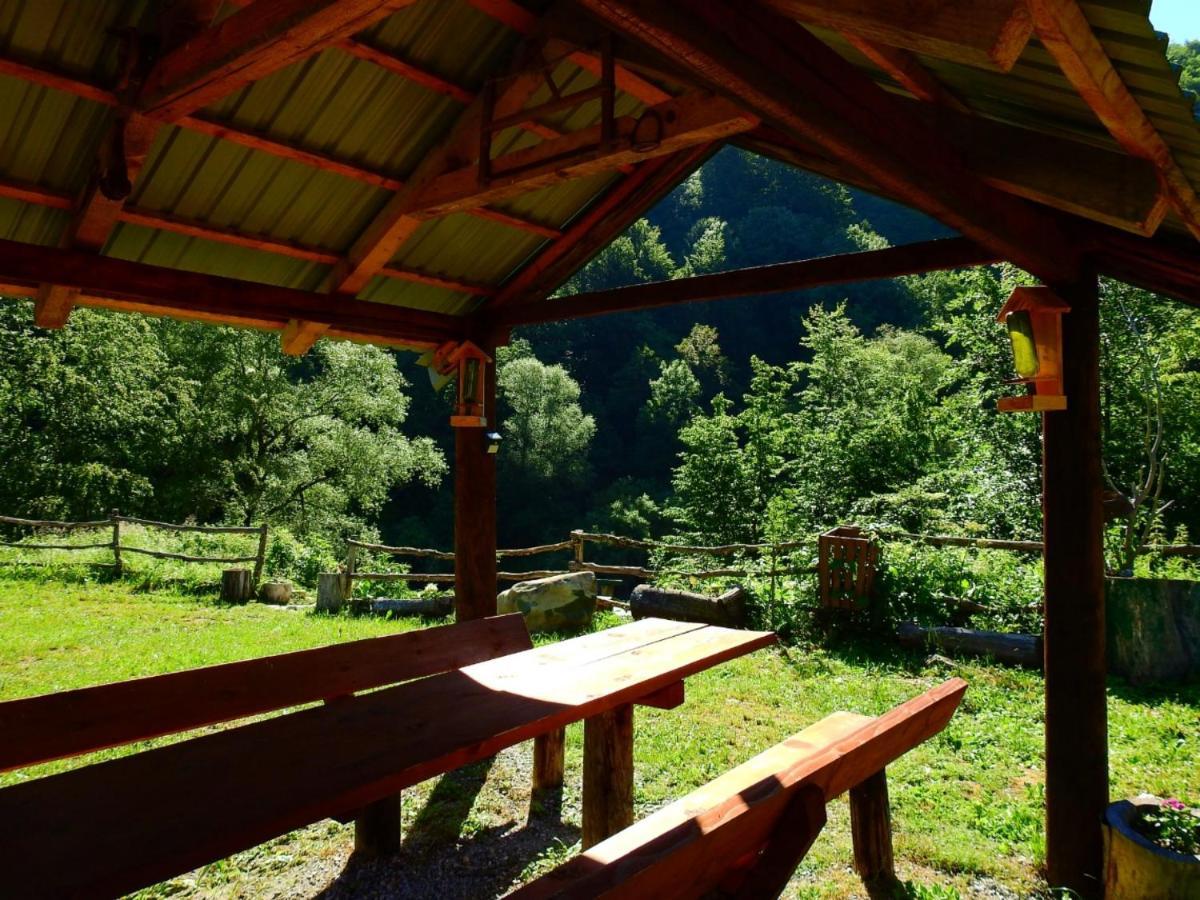 Campsite Private Kalezic *