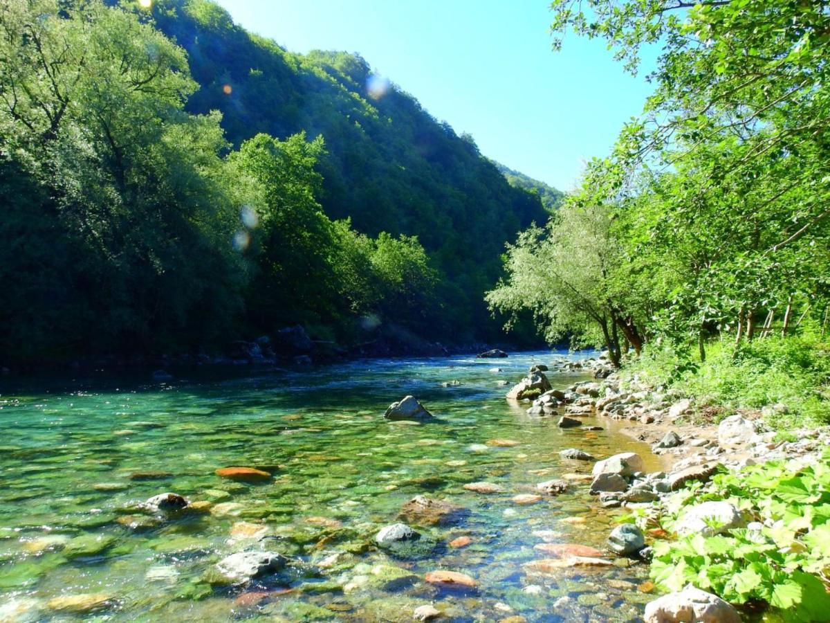 Campsite Private Kalezic Mojkovac