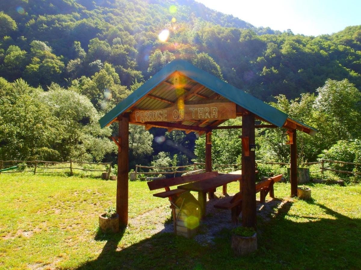 Private Kalezic Campsite Mojkovac