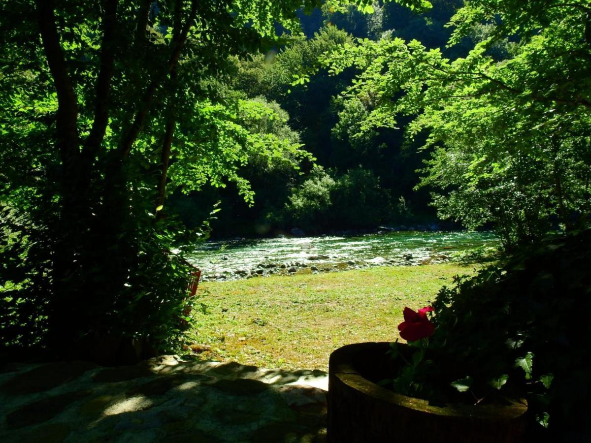 Campsite Private Kalezic